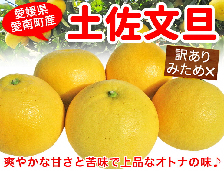 
【先行予約】訳あり 土佐文旦 5kg【発送期間 3月】 季節限定 限定品 みかん 蜜柑 柑橘 かんきつ 家庭用 訳あり わけあり 大きさ 土佐 文旦 冬 旬 高知県 宿毛市 隣接 農家 農園 老舗 不揃い サイズミックス フルーツ 果物 くだもの 柑橘 愛媛県 愛南町 清家ばんかんビレッジ
