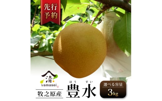 梨 豊水 3kg 先行予約 令和7年度産 8月中旬 より 順次発送 数量限定 フルーツ なし ほうすい 果物 お中元 贈答用 プレゼント 父の日 箱入り おいしい 国産 山清 yamasei 静岡県 牧之原市