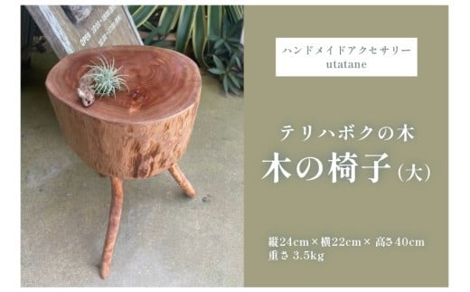 
            DM013『テリハボクの木の椅子』（大）
          