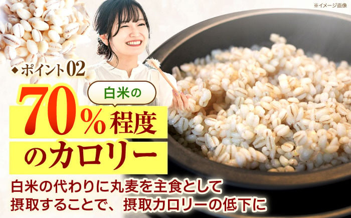  長崎県産 丸麦 20kg  麦 むぎ 雑穀 雑穀米 麦ごはん 麦みそ 麦味噌 食物繊維