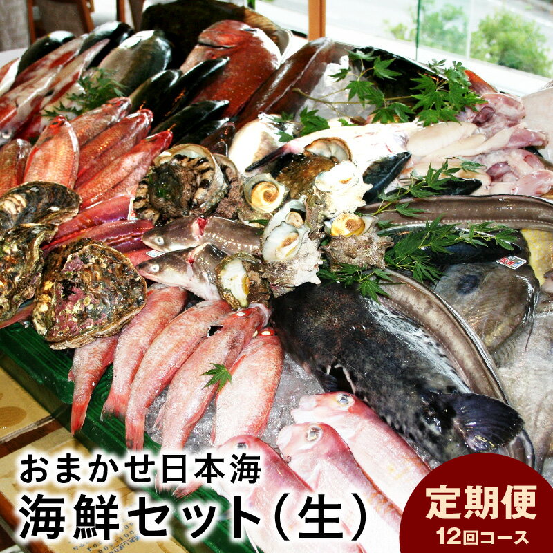 【ふるさと納税】【定期便】おまかせ日本海海鮮セット（生） 12回コース 定期便 海鮮 おまかせ 12回 セット 詰め合わせ 海鮮セット 厳選 産地直送 お任せ定期便 ふるさと納税 定期便 海鮮 【097_0726】