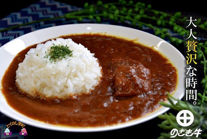 徳之島“生まれ”のざき牛がごろっと入ったカリー ( カレー のざき牛 鹿児島黒毛和牛 スパイシー レトルト 徳之島 奄美 鹿児島 美味しい 人気 大人の味 ごろっと )