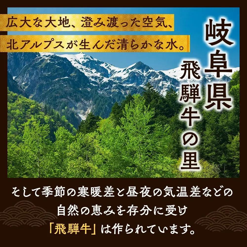 飛騨牛 すき焼き・しゃぶしゃぶ用お肉　2種食べ比べ 600g