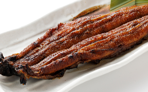 うなぎの蒲焼(1尾)【配送不可地域：離島】【1698321】