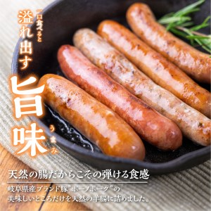 肉製品6点セット 肉製品 詰め合わせ ソーセージ ブロック ベーコン 山之村牧場[Q504]