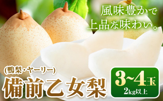 【先行予約】梨 なし 乙女梨 3~4玉 2kg 以上 石原果樹園 《2025年11月中旬-2026年1月上旬頃より発送予定》岡山県 浅口市 果物 フルーツ 梨 鴨梨 備前乙女梨 ヤーリー