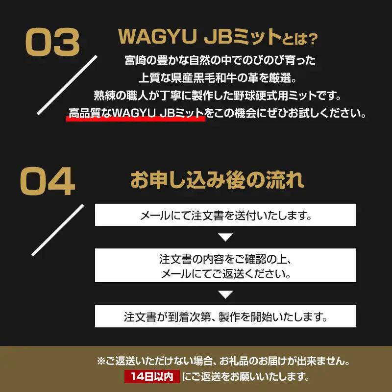 宮崎県産牛革使用 WAGYU JB硬式用オーダーミット