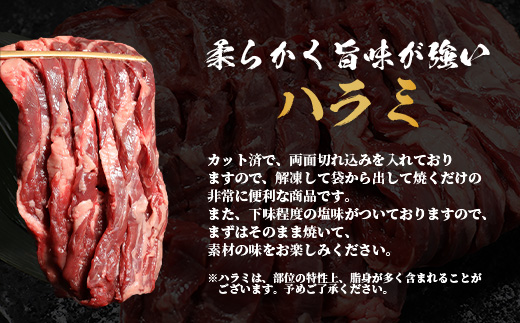 人気セット！ 厚切り 牛 ハラミ ステーキ＆ 厚切り 牛タン 【合計 3㎏ 】 小分け 焼肉 BBQ キャンプ アウトドア 牛たん はらみ カット済み 牛肉 肉 冷凍 067-0682
