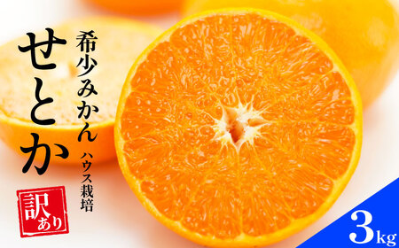 先行予約 訳あり せとか 3kg ハウス栽培 みかん 蜜柑 ブランドせとか 訳ありせとか 柑橘せとか 美味しいせとか 愛媛県 愛南町 豊田農園 【せとか】