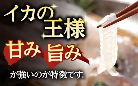 アオリイカ（水イカ）700g前後 《壱岐市》【ヤマグチ】[JCG018] いか あおりいか 13000 13000円