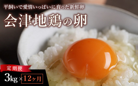 33-K 【12か月定期便】平飼い会津地鶏の卵 3kg（50～60個） ※沖縄・離島への配送不可