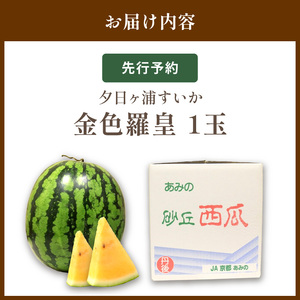 【先行予約／数量限定50】夕日ヶ浦すいか（金色羅皇） 1玉（2026年7月中旬～発送）果物 くだもの スイカ 西瓜  ふるさと納税 スイカ ふるさと納税 先行予約 フルーツ ふるーつ 甘い 京都 丹後