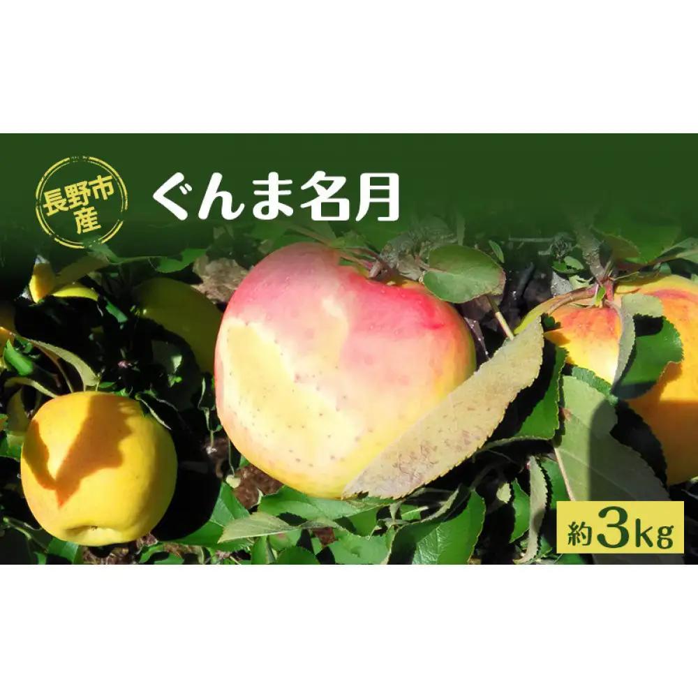 牧野果樹園　長野市産「ぐんま名月」約3kg（8～10玉）  | りんご フルーツ 果物 りんご