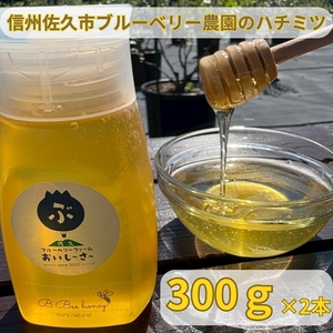 長野県産はちみつ 600g（純粋・非加熱・天然100%） 信州 佐久市 無添加 国産 アカシア 蜂蜜 ハニー パン ヨーグルト 希少 ブルーベリー はちみつ