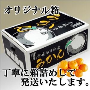 M、Sでお届け・濃厚な味わい! 井上農園「南柑20号」約5kg 【C39-12】【1245424】