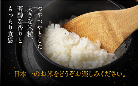 【2025年産米】（2026年3月発送）3kg×1 飛騨産・龍の瞳（いのちの壱）株式会社龍の瞳直送 米 令和7年産 精米【14-12【3】】りゅうのひとみ いのちのいち 下呂市 龍の瞳