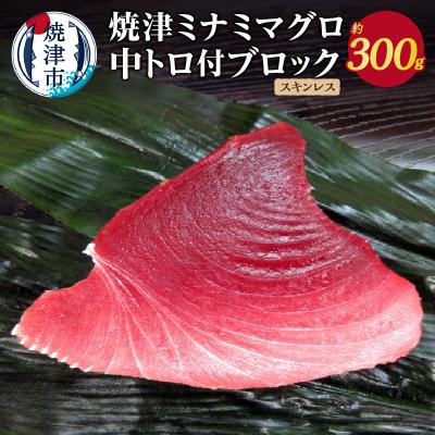 ふるさと納税 焼津市 焼津ミナミマグロ中トロ付ブロック(スキンレス)(a11-049)
