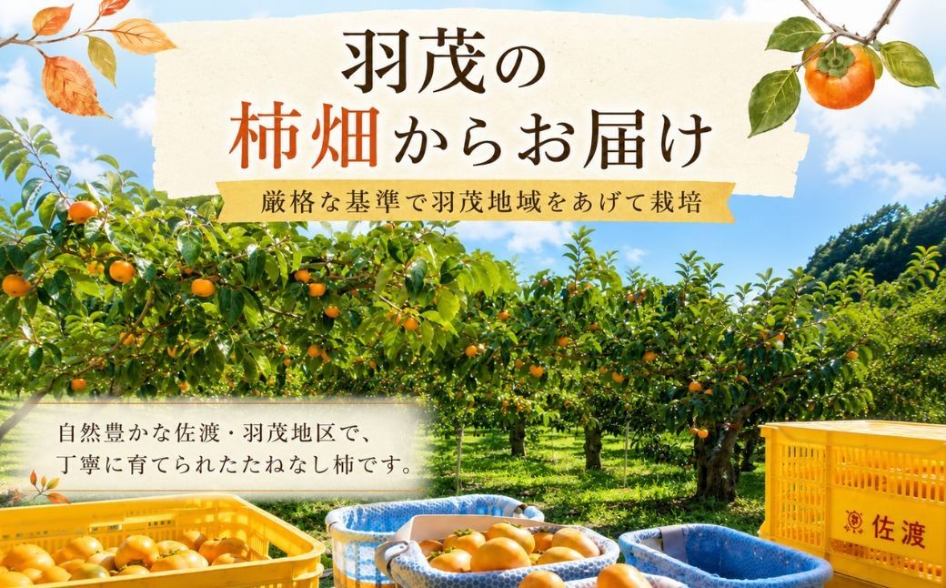 小さめや小傷はあるけれど、甘みの強さは変わらず