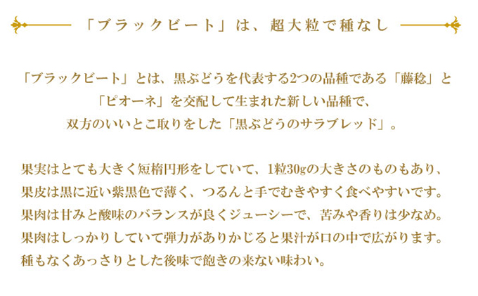 ぶどう 2024年 先行予約 ブラックビート 約600g×2房 ブドウ 葡萄  岡山県産 国産 フルーツ 果物 ギフト