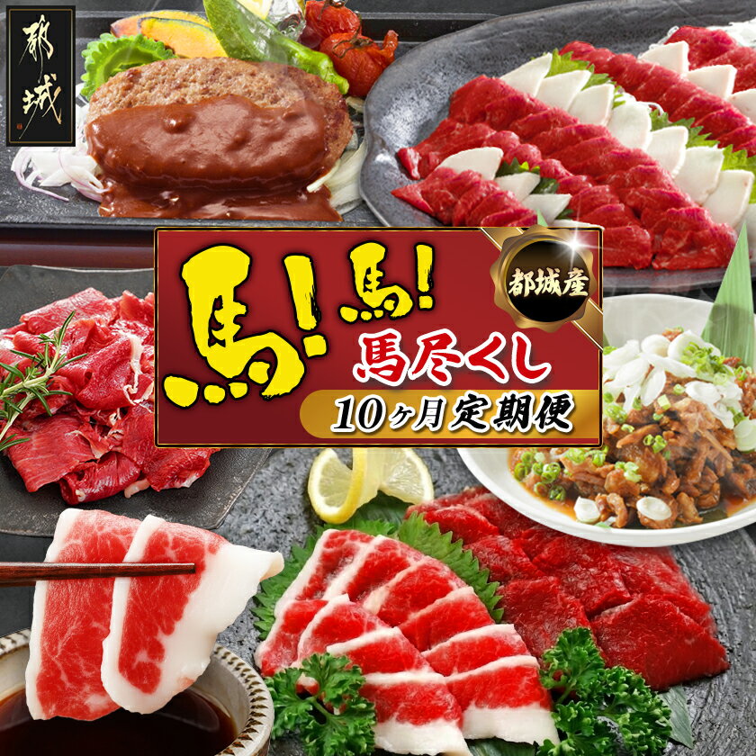 都城産馬！馬！馬尽くし定期便(10ヵ月) - 定期便 馬刺し 馬ハンバーグ 馬生ハム 馬すじ煮込み 10ヵ月定期便 送料無料 T80-0101【宮崎県都城市は令和4年度ふるさと納税日本一！】
