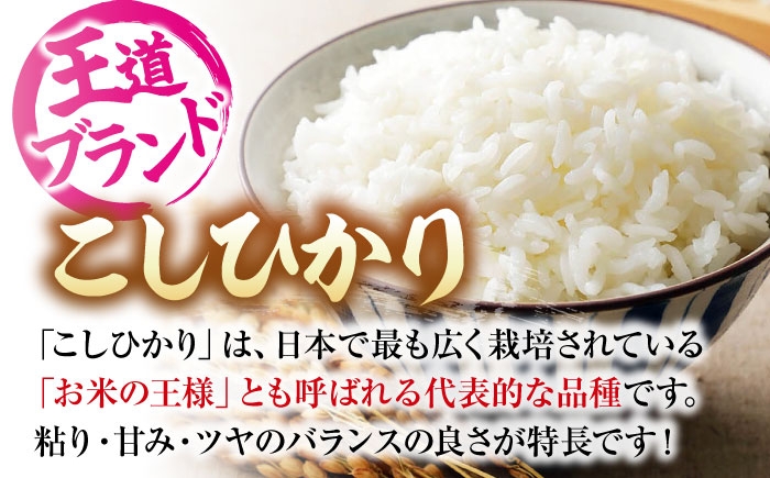 米 お米 白米 精米 こめ ごはん コシヒカリ 広島県産 ブランド米 国産
