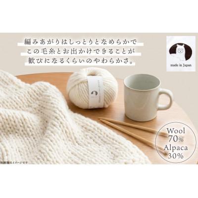 ふるさと納税 江南市 あみもねっと アルパカ天然色 7番色 10玉セット |  | 01
