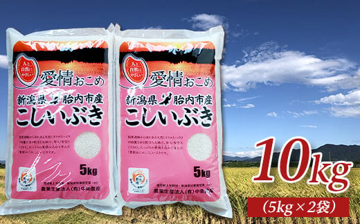 
16-I101新潟県胎内市産こしいぶき10kg（5kg×2袋）
