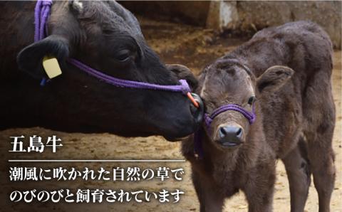 【幻の和牛！やわらかとろける♪】 五島牛 ローススライス 約500g 2～3人前 【カミティバリュー】 [RBP009]