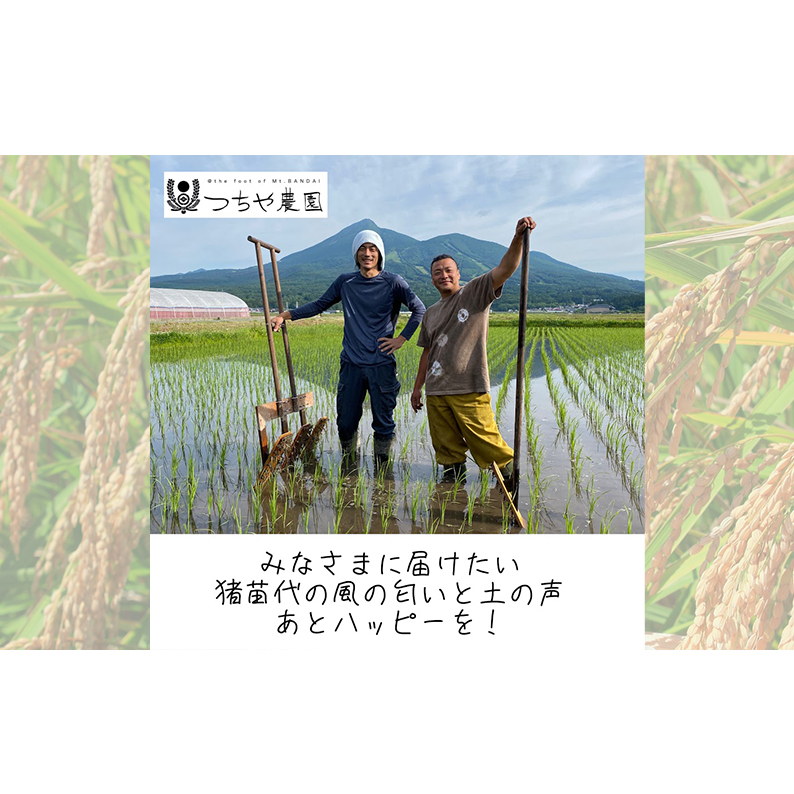 【令和5年産】猪苗代町産 特別栽培米ひとめぼれ 10kg（精米）_イメージ3