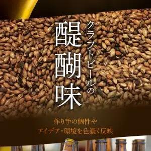 クラフトビール　飲み比べおすすめ6種セット　ビールコンテスト受賞の醸造所 Yell&Ale Brewery H01003