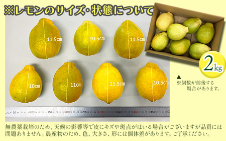 有機レモン 璃の香 2㎏【先行予約・11月下旬～1月発送】レモン オーガニック 国産 愛媛県 西条市