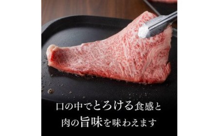 宮崎県産黒毛和牛 牛肉 サーロインステーキ 400g 肉 牛肉  牛 国産牛肉 牛 九州産牛 牛 和牛 ステーキ 牛肉 送料無料牛肉 牛