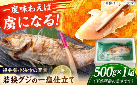 若狭グジの一塩仕立て 500g×1尾 [A-094002]
