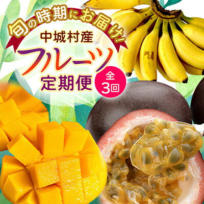 【ふるさと納税】【発送月固定定期便】JAおきなわ厳選フルーツセット(パッションフルーツ・マンゴー・島バナナ)全3回【配送不可地域：離島】【4079615】