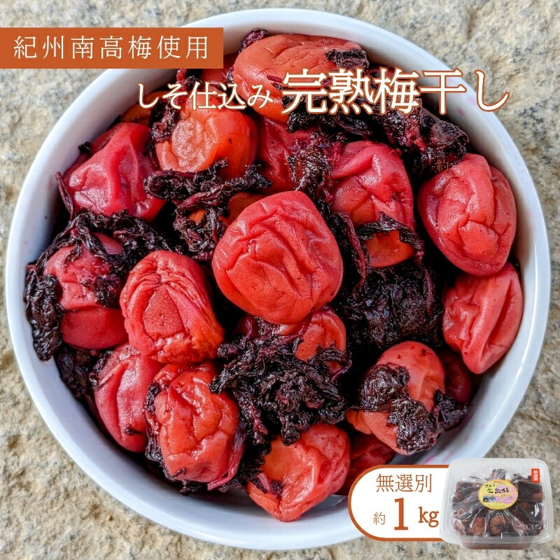 【ふるさと納税】 紀州南高梅使用　しそ仕込み完熟梅干し 無選別約1kg【TM145】