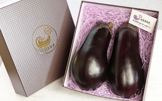 美咲町産 なす カッシーファームのみさきなす 2個 合計約1.9kg 【2026年8月上旬-9月下旬発送予定】 野菜 ナス 茄子 やさい 国産