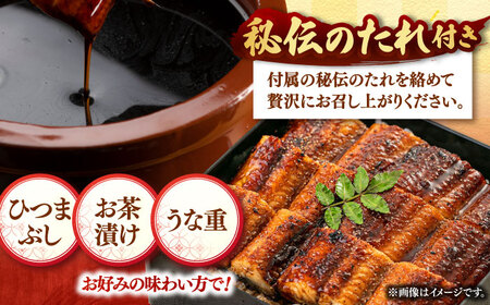全3回定期便 鹿児島産うなぎ2尾　蒲焼・白焼セット 桂川町/山水商事[ADAH018]