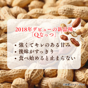 から煎りQなっつ250g2袋