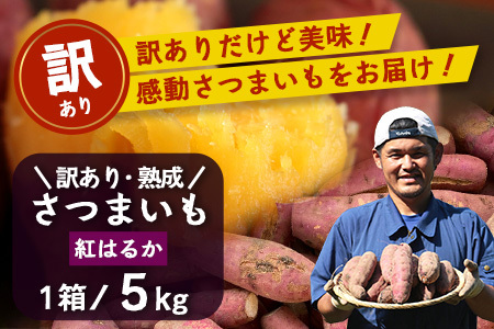 【訳あり！】【先行予約】熟成 紅はるか 5kg (1箱 ) さつまいも 鹿児島県産