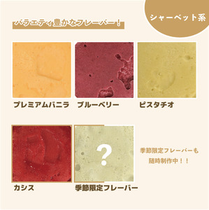 ジェラート 詰め合わせ 120ml 6個 アイス ジェラート