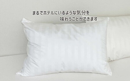 ザ・ホテルピロー 枕カバー付き 50×70cmリサイクルダウン50％ 抗ウィルス加工 ダウンピロー　羽毛 【251-000507-20】【2.6-3】