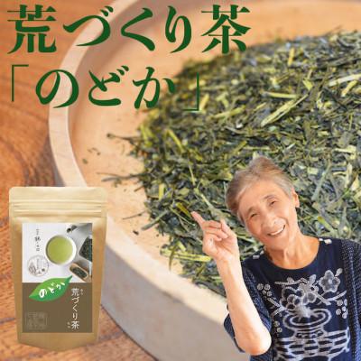 ふるさと納税 八女市 深蒸しの八女茶!荒作り茶のどか100g入り