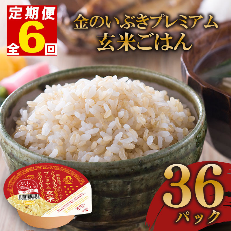 
            定期便 6回 玄米ごはんパック 120g 36個 玄米 米 お米 ごはん ご飯 こめ パックライス パックご飯 パックごはん ご飯パック ごはんパック パック ライス 備蓄 保存 非常 防災 電子 レンジ 温めるだけ レンチン 簡単 健康 ダイエット 美容 ヘルシー 36 36食 レトルト インスタント おいしい 人気 おすすめ 金のいぶき 大阪府 松原市
          