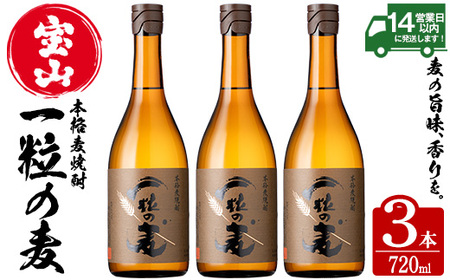 No.913 一粒の麦(720ml×3本)焼酎 麦焼酎 酒 アルコール 麦 家飲み 宅飲み 大麦 大麦麹 常温 常温保存【西酒造】