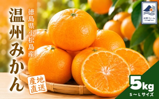 【2026年10月下旬順次発送】　みかん 5kg 温州みかん S~Lサイズ 小松島市 ミカン mikan 蜜柑 フルーツ 旬 美味しい 贈答 プレゼント