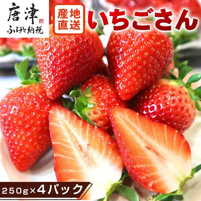『先行予約』【令和9年3月より順次発送】唐津産 いちごさん 約250g×4パック(合計約1kg) 