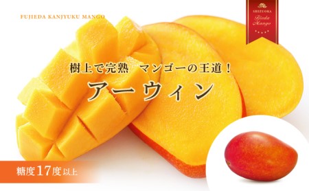 【オンライン決裁限定】 【 先行予約 : 2025年6月頃より順次発送 】 完熟マンゴー 2kg 糖度 17 以上 厳選 フルーツ 果物 国産 フルーツ トロピカルフルーツ アーウィン マハチャノック