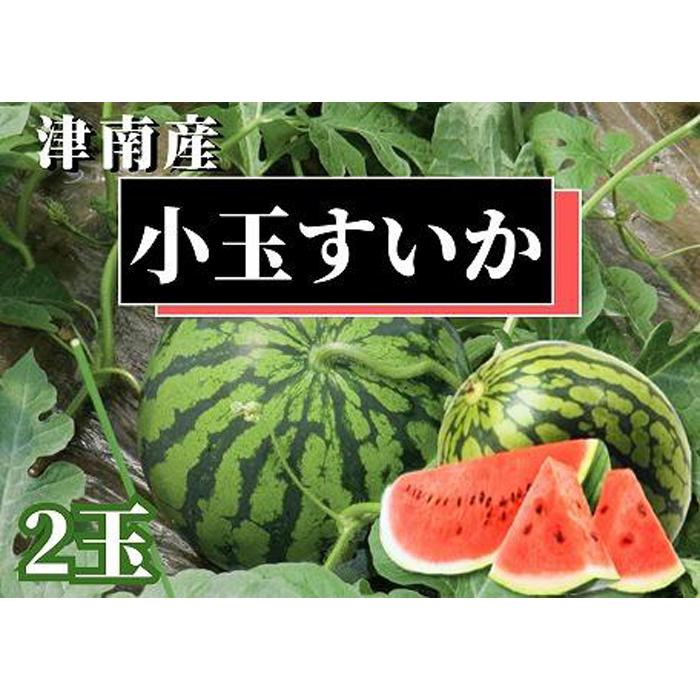 【ふるさと納税】【令和8年産 先行予約】スイカ 小玉 2玉 ( 1玉 : 約1.6 〜 2.5kg ) 津南町産 | すいか 西瓜 甘い フルーツ ふるーつ 果物 くだもの 季節限定 おすすめ ギフト 贈り物 贈答用 新潟県 津南町