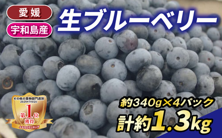 生ブルーベリー 約1.3kg 南四国ファーム ベリー F013-035006