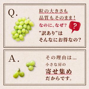 【期間限定発送】 シャインマスカット 訳あり 粒 詰め合わせ 400g 2p 800g [安達長作 山形県 高畠町 tk06ays990007] 小分け フルーツ 果物 くだもの ぶどう ブドウ 葡萄